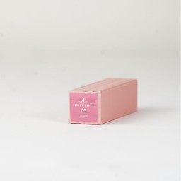 أحمر شفاه غلوس Gloss Lipstick