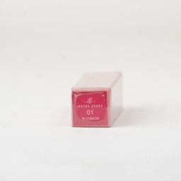أحمر شفاه غلوس Gloss Lipstick