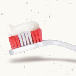 Beaphar معجون وفرشاة أسنان Beaphar Dental Care Set