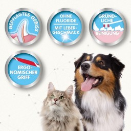 Beaphar معجون وفرشاة أسنان Beaphar Dental Care Set