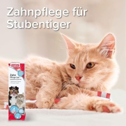 Beaphar معجون وفرشاة أسنان Beaphar Dental Care Set