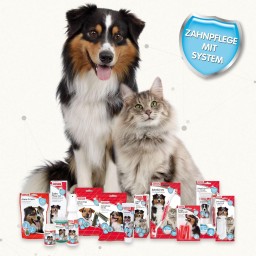 Beaphar معجون وفرشاة أسنان Beaphar Dental Care Set