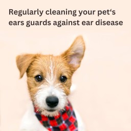 Virbac منظف ​​الأذن Virbac Ear Cleaner