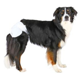 حفاضات للكلاب الإناث - 12 قطعة Female Dog Diapers - 12 pcs