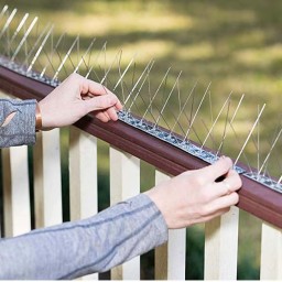 اشواك طيور من الستيل Stainless steel bird spikes