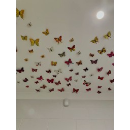 فراشات 3D 3D butterflies