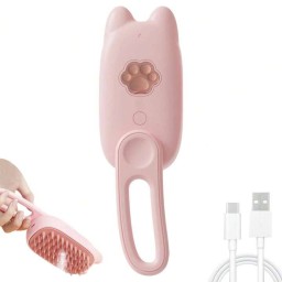المشط بخاخ Steam Brush