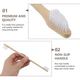فرشاة الأسنان Toothbrush