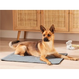 وسادة الحيوانات الأليفة Pet Pad