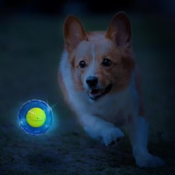 NERF لعبة للكلاب NERF Dog Toy
