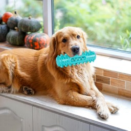 لعبة الكلب Dog Chew Toy