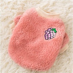 هودی Hoodie