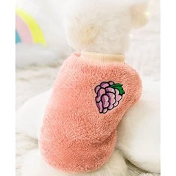 هودی Hoodie
