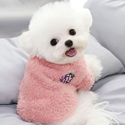 هودی Hoodie