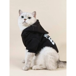ملابس هوديي Hoodie