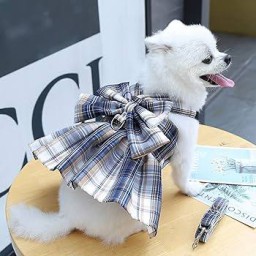 اللباس Dress