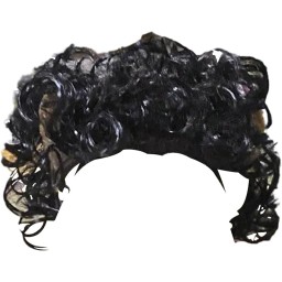 الشعر سناعی Pet Wig