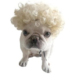 الشعر سناعی Pet Wig