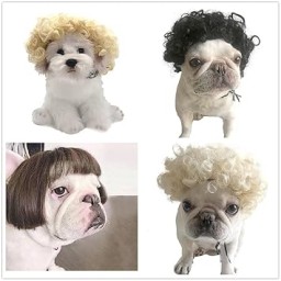 الشعر سناعی Pet Wig