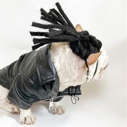 الشعر سناعی Pet Wig