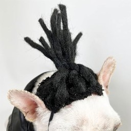 الشعر سناعی Pet Wig