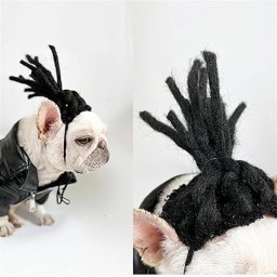 الشعر سناعی Pet Wig