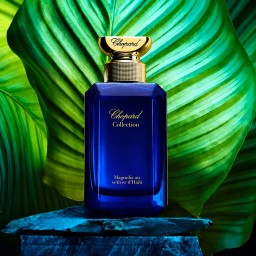 شوبارد ماغنوليا أو فيتيفر دَهايتي – EDP – للجنسين Chopard Magnolia Au Vetiver d’Haïti – EDP – Unisex