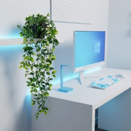 نبتة متدلية decor plant