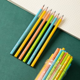 علبة اقلام رصاص ديلي Graphite Pencil