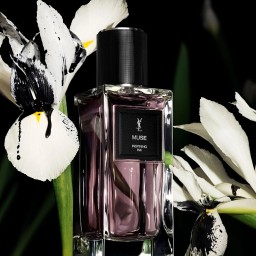 إيف سان لوران ميوز إنسبايرينغ إنك – EDP – للجنسين Yves Saint Laurent Muse Inspiring Ink – EDP – Unisex