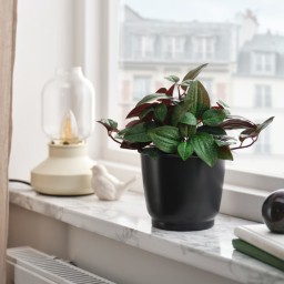 وعاء نباتات, 12cm Plant Pot, 12cm