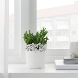 وعاء نباتات Plant Pot