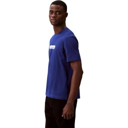 تيشرت رجالي مطبوع بشعار كالفن كلاين قصير الأكمام Calvin Klein Short Sleeve Graphic T-Shirt