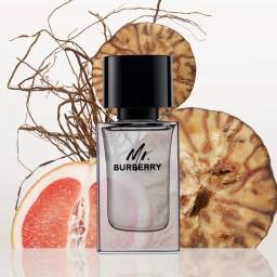بربري مستر بربري – EDT – للرجال Burberry Mr. Burberry – EDT – For Men