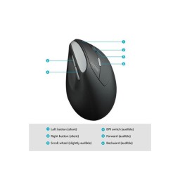 ماوس رابو EV250 اللاسلكي العمودي المريح - أسود mouse