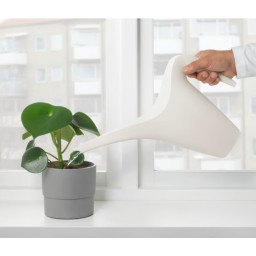 أبريق سقي Watering Can
