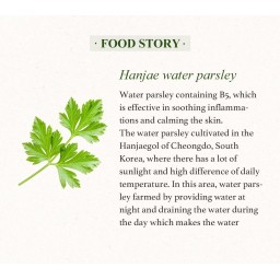 SKINFOOD Pantothenic Water Parsley Toner تونر القدونس من سكن فود