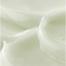 BEAUTY OF JOSEON light on serum centella + vita c سيروم الفيتامين سي من بيوتي اوف جوسيون