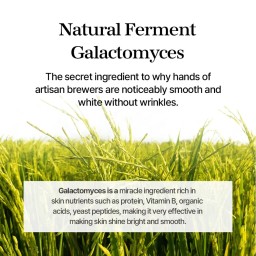 MIXSOON Galactomyces Ferment Essence مستخلص الكلاكتومايز من ميكسون