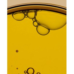 AXIS‑Y Biome Resetting Moringa Cleansing Oil – غسول البشرة النهاري من اكسز واي