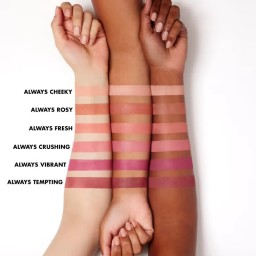 ELF Primer Infused Matte Blush أحمر الخدود البرايمر من ايلف - Always Cheeky