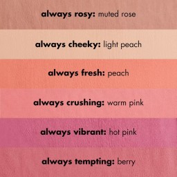ELF Primer Infused Matte Blush أحمر الخدود البرايمر من ايلف - Always Cheeky
