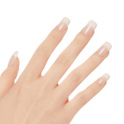 KISS Nude Revolutioary Natural Nails 28 Nails Glue Included KAN03 (French Nude
Cashmere)