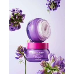 EQQUAL BERRY Backchiol Plumping Capsule Cream كريم مكافحة الشيخوخة من ايكوال بيري