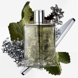 عطر هيرميس إتش 24 أو دو بارفان 100 مل Hermes H24 EDP M 100ML