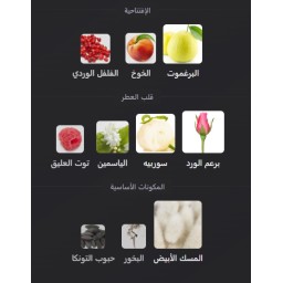 فيرساتشي كريستال إيميرالد versace Crystal Emerald