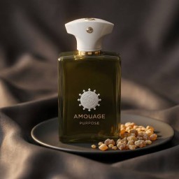 عطر أمواج بيربوس أو دو بارفان ١٠٠ مل، إصدار ٢٠٢٣ Amouage Purpose Edp 100ml U 2023