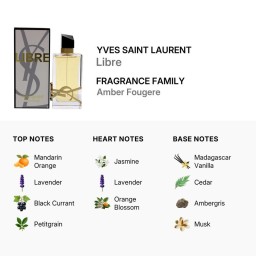 عطر ليبر اودي بارفيوم Libre EDP