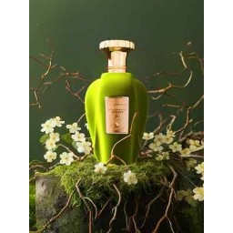عطر باريس كورنر أمير فوكس زينجي للجنسين، 100 مل Paris Corner Emir Voux Zingy Eau De Parfum 100ml – For Unisex