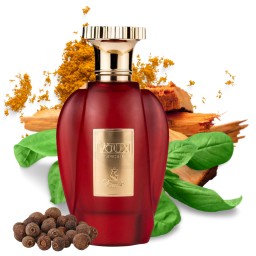 عطر إيمير فوكس سبايسز أو دو بارفان 100مل Emir Voux Spices Eau De Parfum